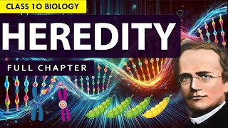 CLASS 10 HEREDITY amp EVOLUTION Full chapter explanation Animation  NCERT Class 10 Chapter 8 [upl. by Aneeres390]