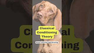 Classical conditioning theory instructionaldesign instructionaldesigners learningtheories IDs [upl. by Olmsted]