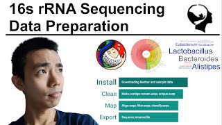 16s rRNA Sequencing Analysis  Mothur Walkthrough Part 1 [upl. by Weig557]