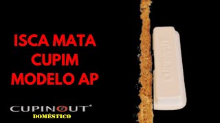 Isca Mata Cupim  Cupinout modelo AP [upl. by Rema]