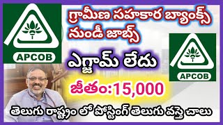 APCOB Recruitment 2024  AP APCOB APPRENTICE NOTIFICATION 2024 AP APCOB Apply process Telugu 2024 [upl. by Dnar]