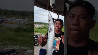 YANG HOBI MANCING WAJIB NONGTON  IKAN TENGGIRI MELIMPAH RUAH fishing mancing [upl. by Moorefield420]