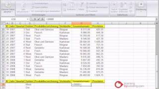 Excel Tutorial Spezialfilter [upl. by Sarina]