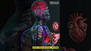 Heart Visualization  Invioni medical animation 3d short [upl. by Alyaj907]