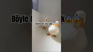 Peşimizi gene bırakmadı 😂🙂‍↕️ eğlence [upl. by Emiolhs]