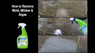 How to Remove Mold Mildew and Algae from Stone Masonry and Concrete [upl. by Acemat887]