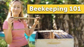 BEEKEEPING 101  How to Keep Bees for the Absolute Beginner Beekeeper [upl. by Adnana436]