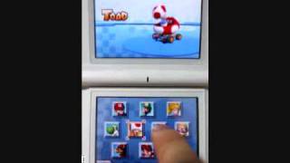 Mario Kart DS  All Characters Karts and Stats [upl. by Tillie440]