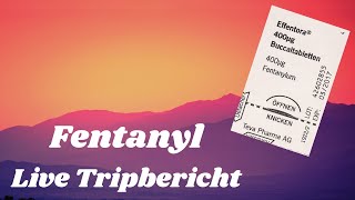 Fentanyl Live  Erfahrungsbericht amp Drogeninfo [upl. by Aicela]