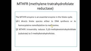 MTHFR Mutations C677T  Tetrahydrofolate and the folate cycle [upl. by Averi]