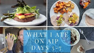 What I Eat in a Day AIP days 57  The importance of having a WHY [upl. by Afra]