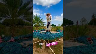 The Beauty of Nature short shortsvideo shorts naturelovers trending [upl. by Cecile]