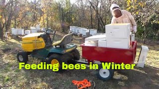 Installing Sugar Feeders on Bee Hives for Winter [upl. by Kowatch236]