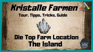 🦖ARK‬ Survival Evolved 🦖 Kristalle Top Farm Locations INFOGUIDE Deutsch Farmen Rohstoffe 2022 [upl. by Enimajneb636]