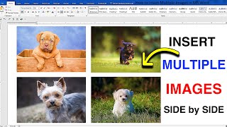 How to Insert Multiple Images in MS Word [upl. by Yarak]