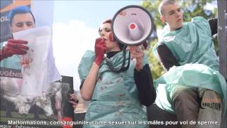 Contre la torture génétique animale   Boucherie Abolition  Happening 01042017 [upl. by Saidnac516]