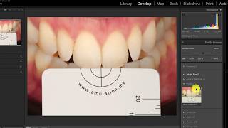 eLAB quick tutorial [upl. by Hsirt]