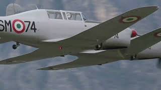 Fiat G46 old airplanes low pass during airshow [upl. by Acsisnarf]