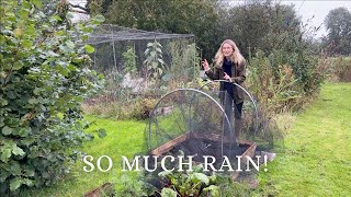 A RAINY ALLOTMENT AFTERNOON structure building amp gardening antiques 🍂 Allotment VLOG 21 [upl. by Ellenehc823]