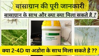 धान में होने वाले सभी प्रकार के मोथा प्रज़ाति के खरपतवार के लिए बेस्ट खरपतवारनाशक Basagran 24D [upl. by Bentlee]