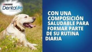 Presentamos Purina® Dentalife® [upl. by Ysteb352]