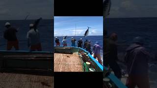 fishing fish yellowfintuna yellowfin shortsfeed youtubeshorts shortvideo shots shorts fish [upl. by Cati]