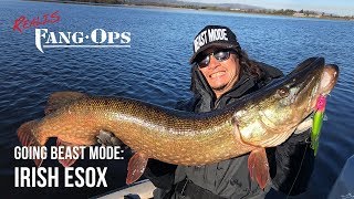 Going Beast Mode Irish Esox [upl. by Ynnavoj]