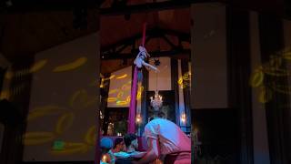 Aerial Silks Climb aerial aerialist silks climb castle dinnershow trick [upl. by Tnarud686]