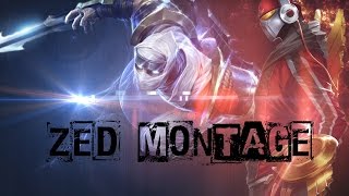 ZED MONTAGE ft Faker Bjergsen Dade and more [upl. by Naiva]