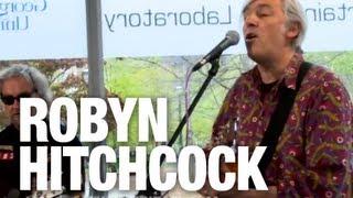 Robyn Hitchcock amp the Venus 3 quotSaturday Grooversquot  indieATL session [upl. by Hodgson992]