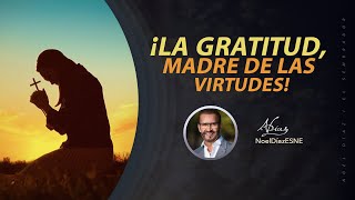 ¡La Gratitud Madre de las virtudes  La Hora del Encuentro  01 de noviembre 2024 [upl. by Erdda978]