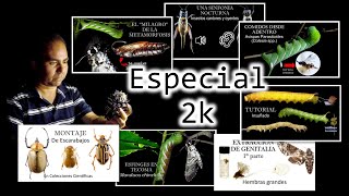 ESPECIAL  Los videos más vistos del canal 2021 a 2023 especial2k [upl. by Ika]