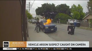 Video of man setting truck on fire in Tujunga [upl. by Aitram]