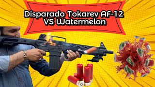 Disparado Tokarev AF12 Against Watermelon  Shortgun Vs Watermelon [upl. by Ellehsram935]