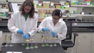 Anaerobic Biodegradation Experiment [upl. by Let]