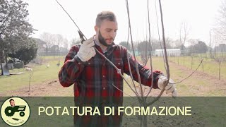 La potatura di formazione  Il contadino Nick [upl. by Nnailuj]