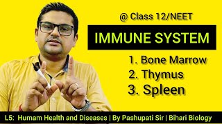 L5 Immune system  Bone Marrow  Thymus  Spleen  Peyers Patches  Lymph nodes [upl. by Anikat]