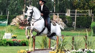 Working Equitation a Fun Way to Train Seriously  Pedro Neves clinic [upl. by Kcirtapnaes]