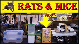 Mice And Rats  Best Non Toxic Removal Formula [upl. by Ayala949]