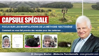 FOCUS SUR LES MANIPULATIONS DE LA MÉTHODE SECTOGÈNE [upl. by Bartolome]