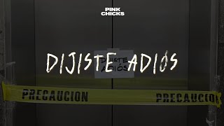 Pink Chicks  Dijiste Adiós Lyric Video [upl. by Doria537]