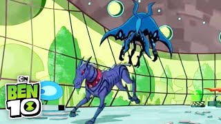 Omniverse Good Dog Bad Dog  Ben 10  Cartoon Network [upl. by Nolyarg660]