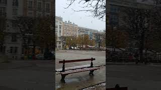 youtubeshorts snowfall❄️☃️🌨️ clichy paris france november 2024 lifeinfrance [upl. by Yhtimit308]