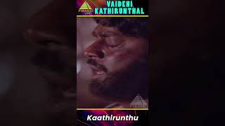 Kaathirunthu Video Song  Vaidehi Kathirunthal Movie Songs  Vijayakanth  Revathi  YTShorts [upl. by Hamlin]