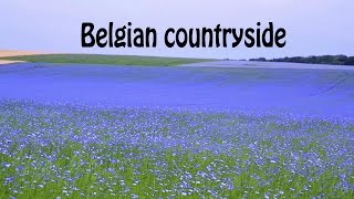 Beautiful Landscapes of Europe Belgian countryside Full HD [upl. by Ilaw]