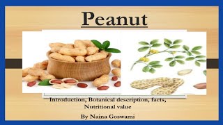 PEANUT Facts Botanical description nutritional value amp more BOTANY Naina Goswami [upl. by Enelahs]