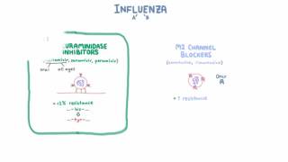 Influenza Treatment  Medications and Criteria for Treatment [upl. by Sharlene]