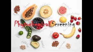 Phytochemical Screening [upl. by Ahsiemak]