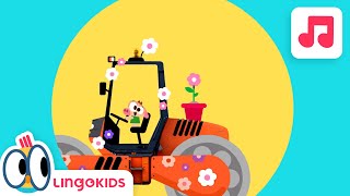 WHEELS ON THE BUS with VEHICLES 🚌🏍️🚜 Songs For Kids  Lingokids [upl. by Hendrika]