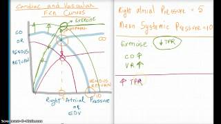 Easy Ways to Understand Cardiac and Vascular Function Curves [upl. by Ivon]